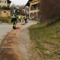 bild_1.jpg