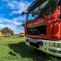THL1_03-10-2023 (1).JPG
