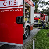 THL1_17-09-2023.JPG