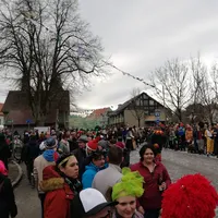 ssfh4673.jpg